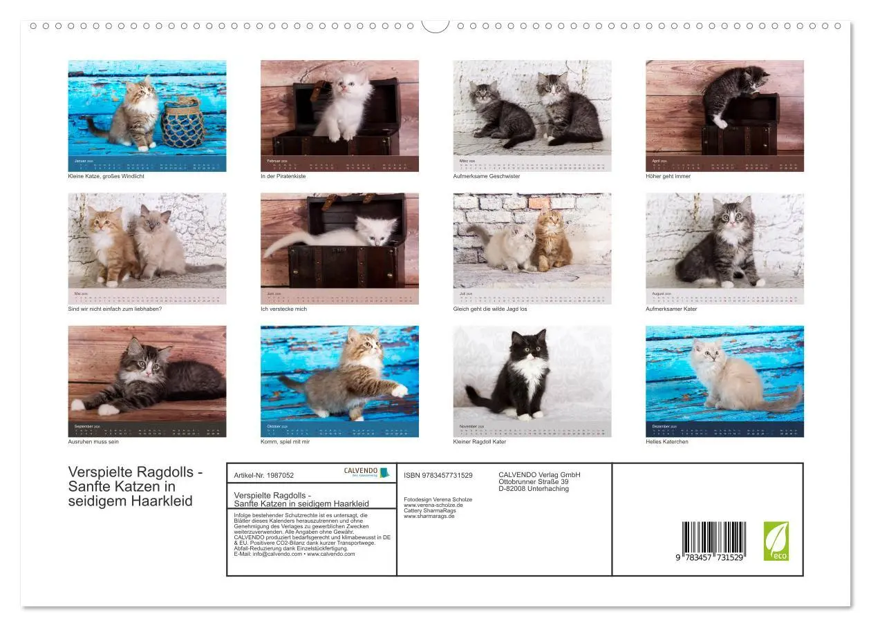 Bild: 9783457731529 | Verspielte Ragdolls -Sanfte Katzen in seidigem Haarkleid...