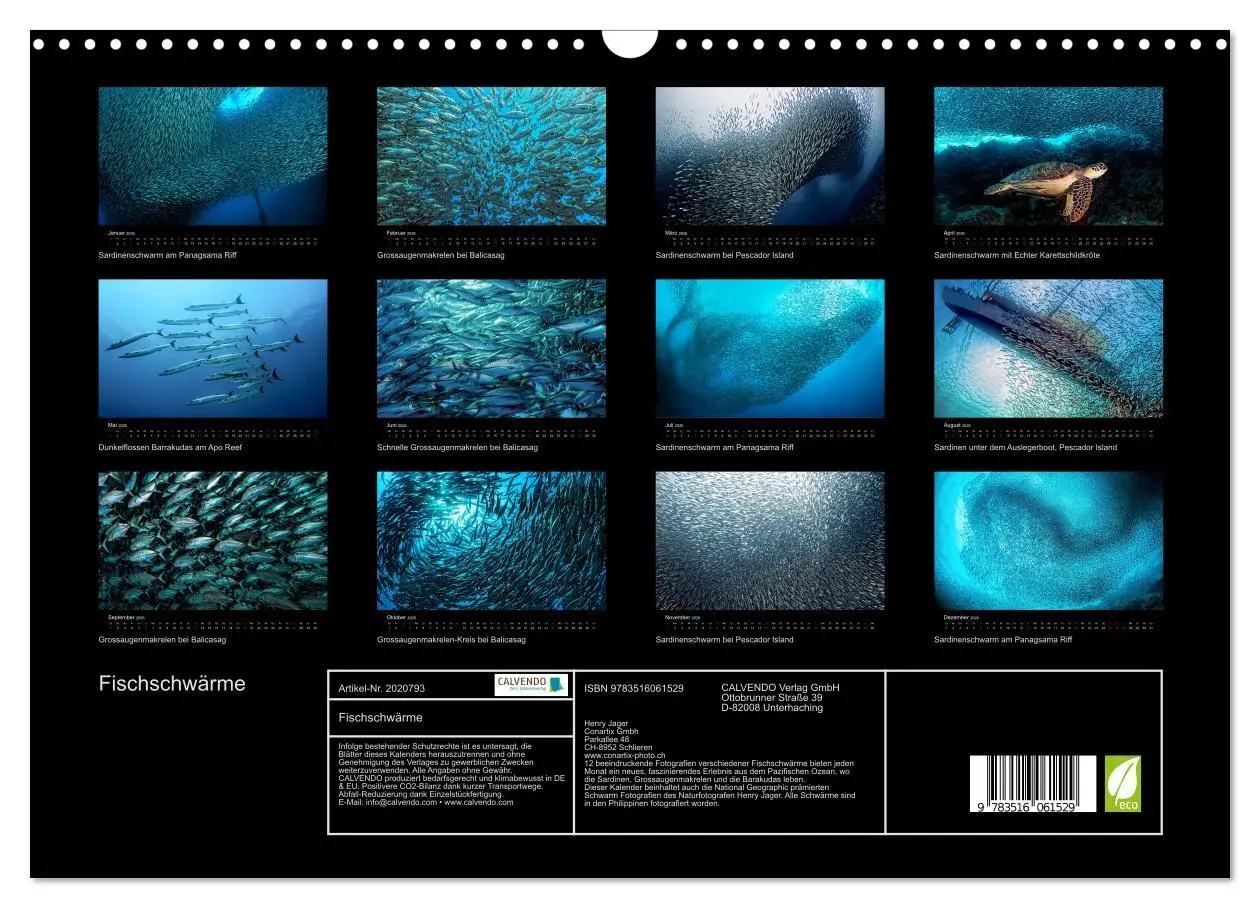 Bild: 9783516061529 | Fischschwärme (Wandkalender 2026 DIN A3 quer), CALVENDO Monatskalender