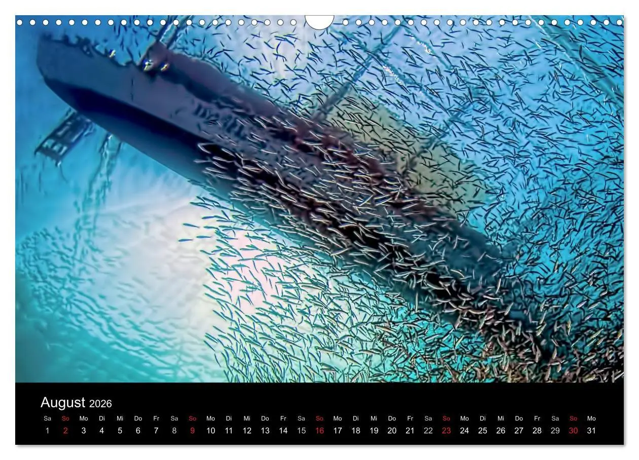 Bild: 9783516061529 | Fischschwärme (Wandkalender 2026 DIN A3 quer), CALVENDO Monatskalender