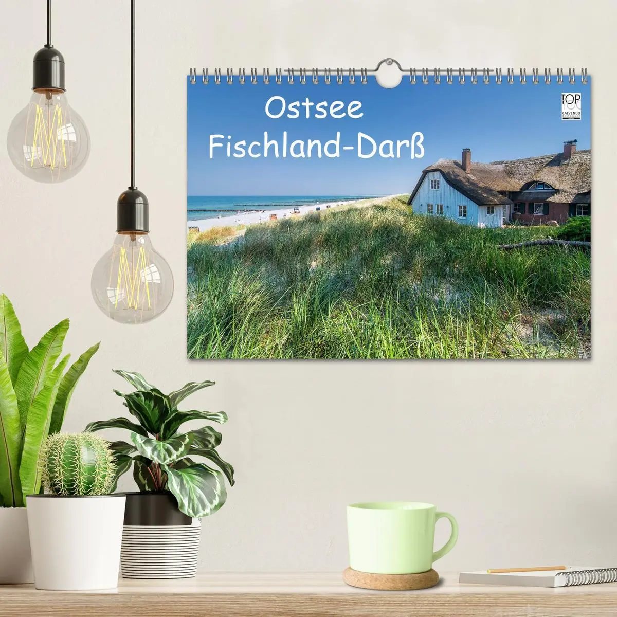 Bild: 9783516131529 | Ostsee, Fischland-Darß (Wandkalender 2026 DIN A4 quer), CALVENDO...