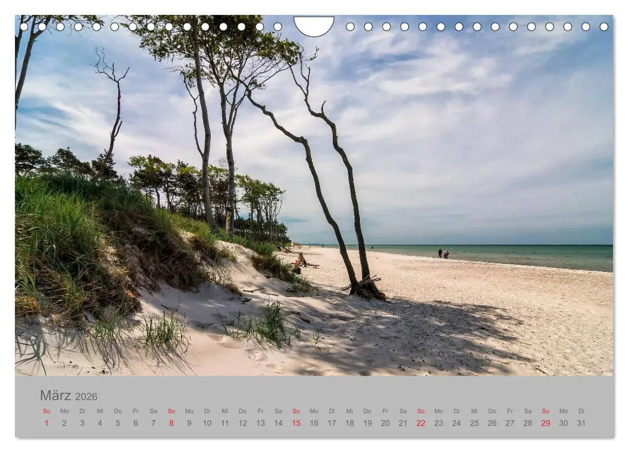 Bild: 9783516131529 | Ostsee, Fischland-Darß (Wandkalender 2026 DIN A4 quer), CALVENDO...