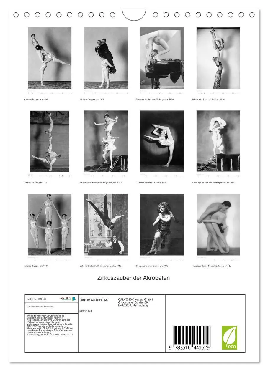 Bild: 9783516441529 | Zirkuszauber der Akrobaten (Wandkalender 2026 DIN A4 hoch),...