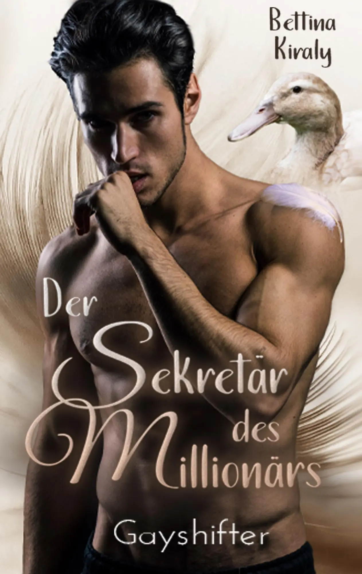 Cover: 9783750461529 | Der Sekretär des Millionärs | Bettina Kiraly | Taschenbuch | 268 S.