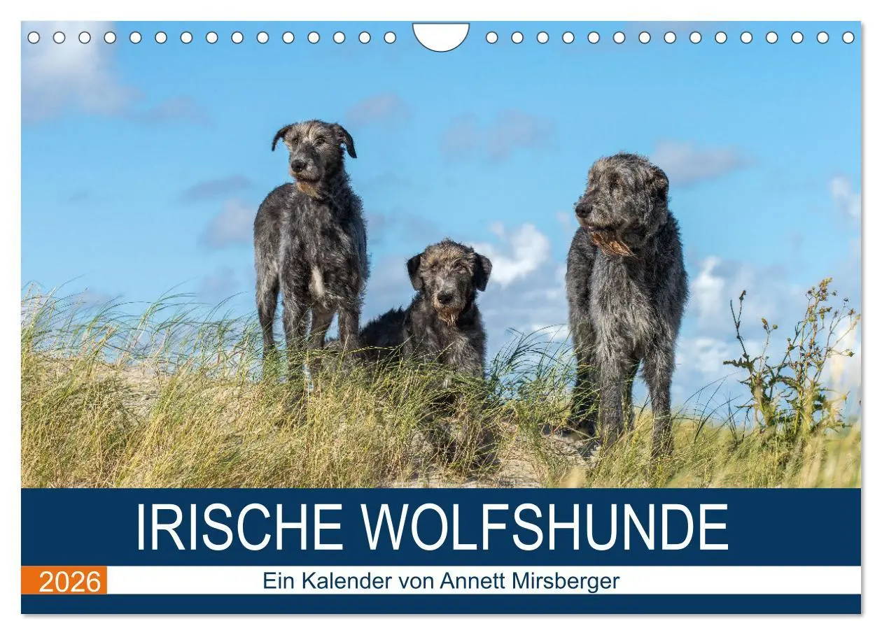 Cover: 9783457891629 | Irische Wolfshunde (Wandkalender 2026 DIN A4 quer), CALVENDO...