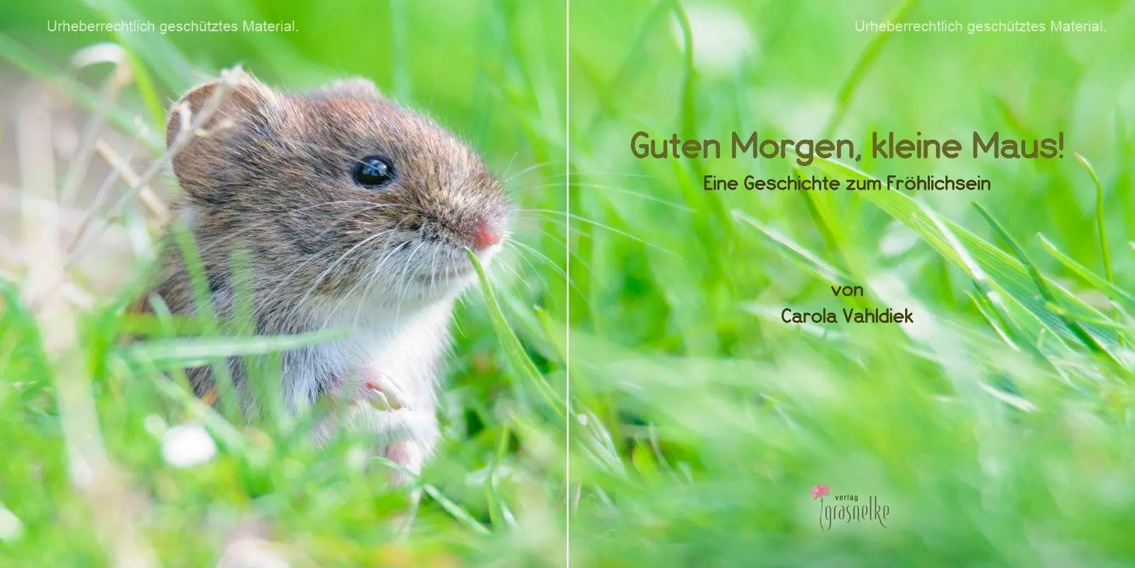 Bild: 9783982341729 | Guten Morgen, kleine Maus! | Eine Geschichte zum Fröhlichsein | Buch