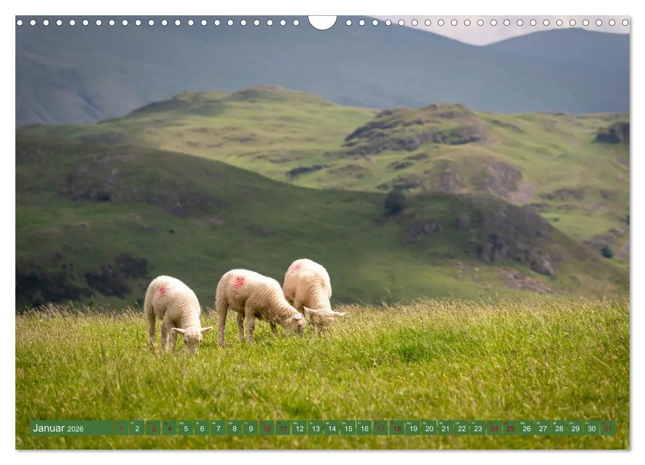 Bild: 9783457321829 | Entdecke England (Wandkalender 2026 DIN A3 quer), CALVENDO...