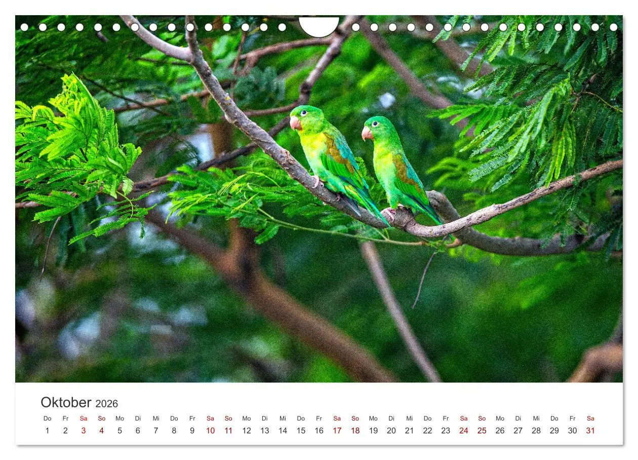 Bild: 9783457561829 | Nicaragua - Impressionen von Land und Tierwelt. (Wandkalender 2026...