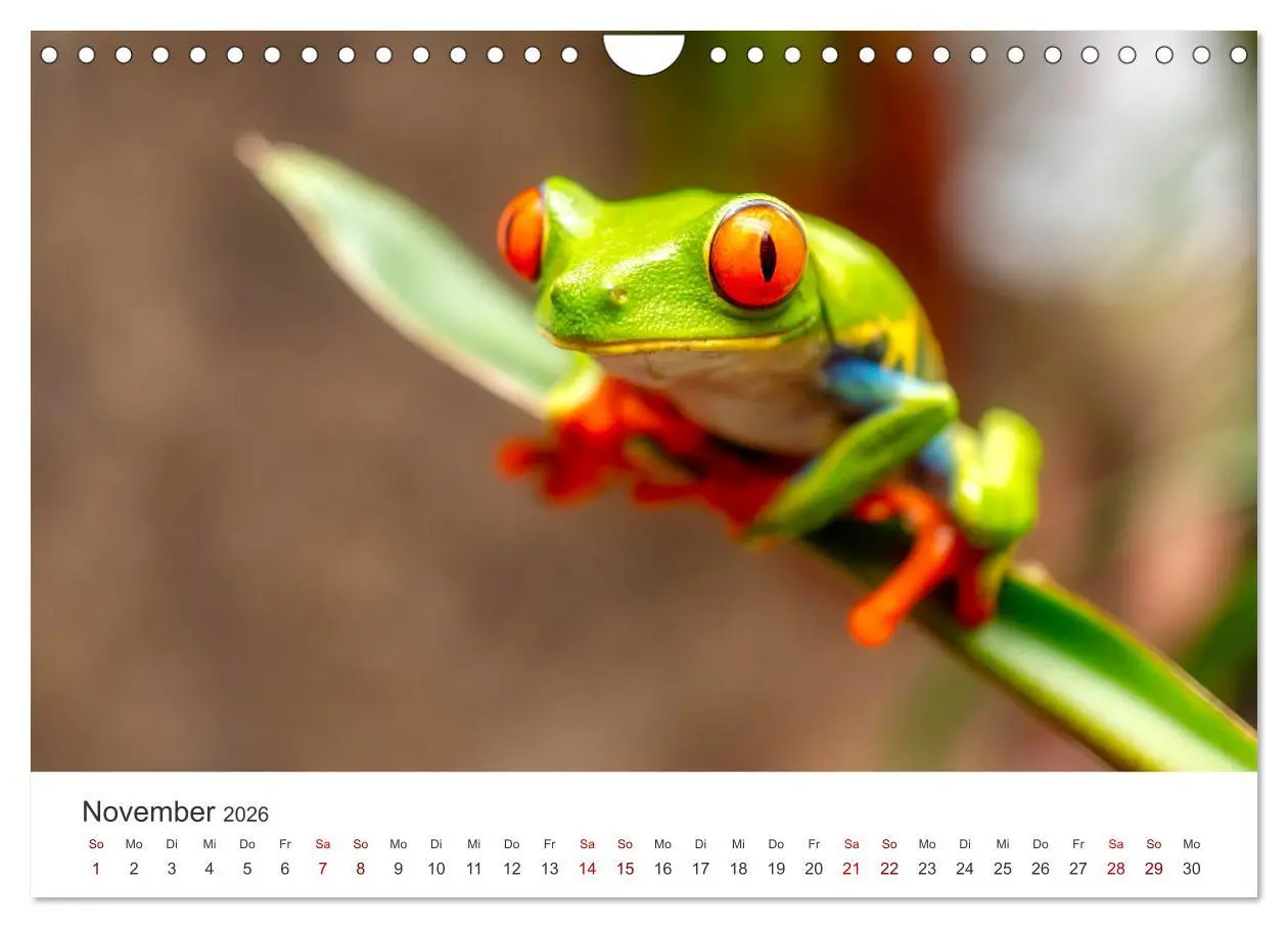 Bild: 9783457561829 | Nicaragua - Impressionen von Land und Tierwelt. (Wandkalender 2026...