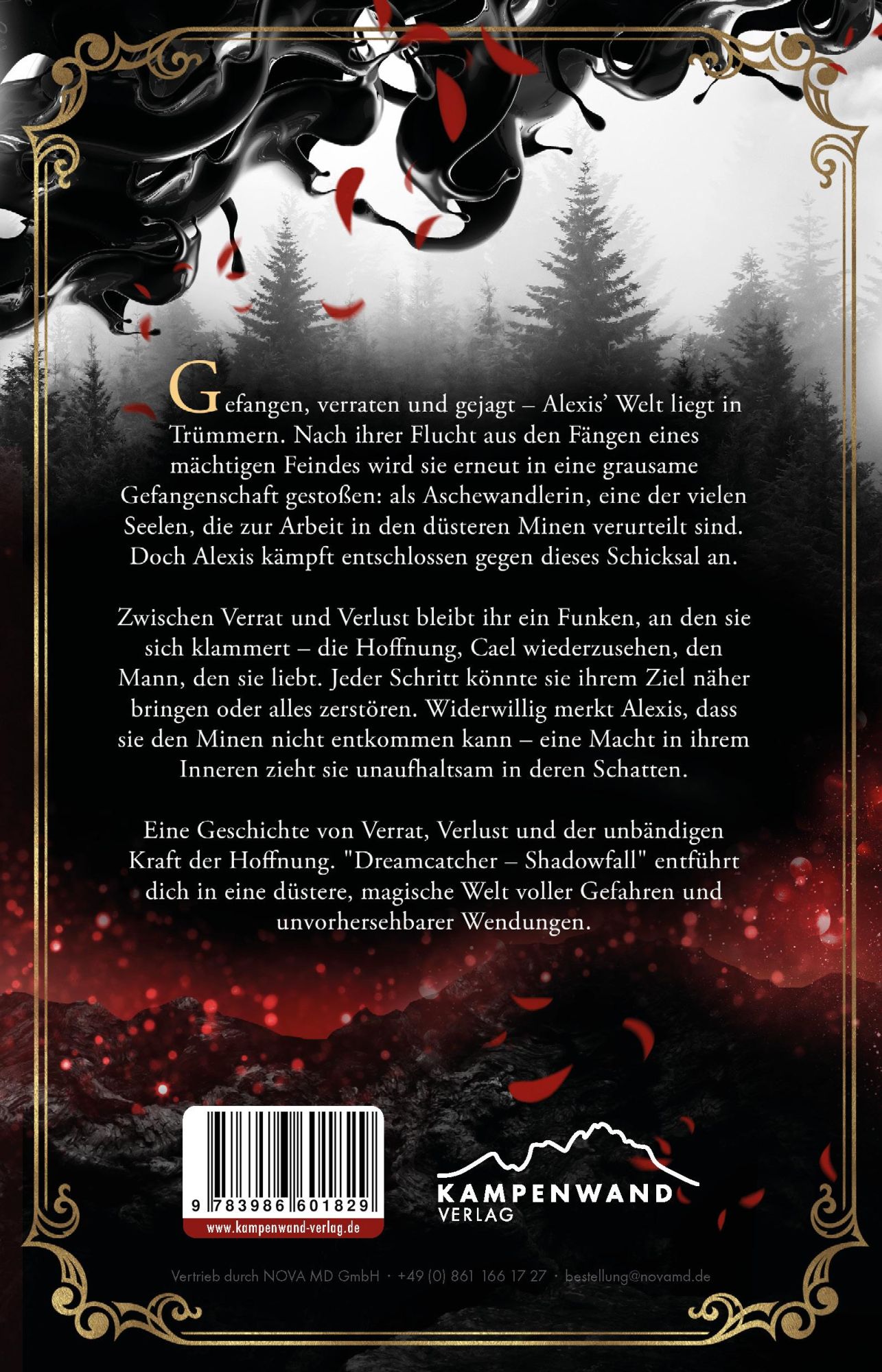 Bild: 9783986601829 | Dreamcatcher Shadowfall (Band 6) | Juliane Maibach | Taschenbuch