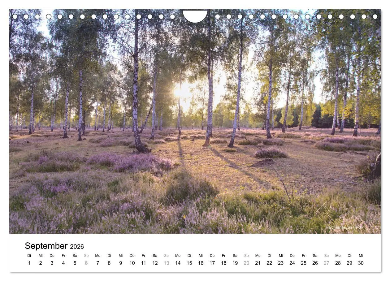Bild: 9783457551929 | Die Lausitz - Landmarken der Nieder- und Oberlausitz (Wandkalender...