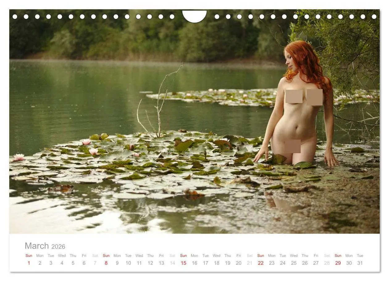 Bild: 9783516571929 | Water Nymphs (Wall Calendar 2026 DIN A4 landscape), CALVENDO 12...