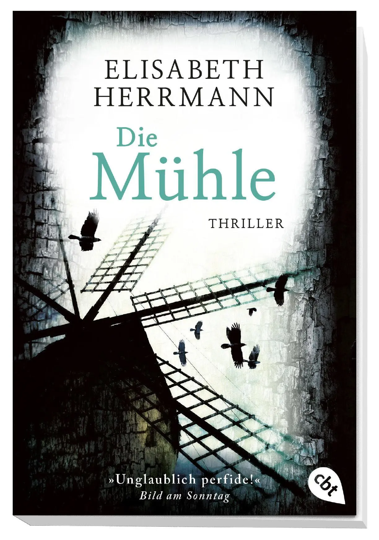 Bild: 9783570311929 | Die Mühle | Elisabeth Herrmann | Taschenbuch | 441 S. | Deutsch | 2018