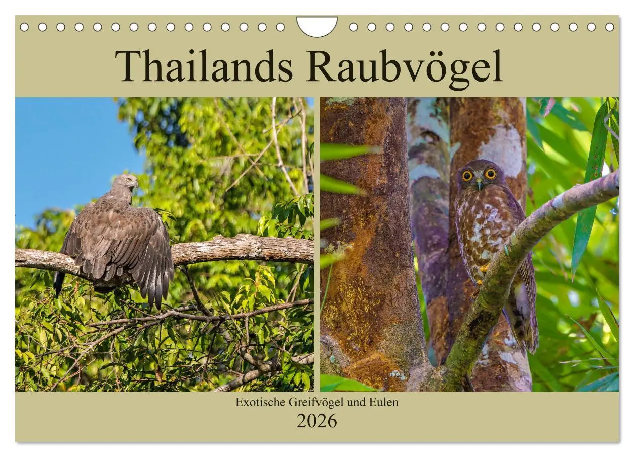 Cover: 9783457682029 | THAILANDS RAUBVÖGEL Exotische Greifvögel und Eulen (Wandkalender...