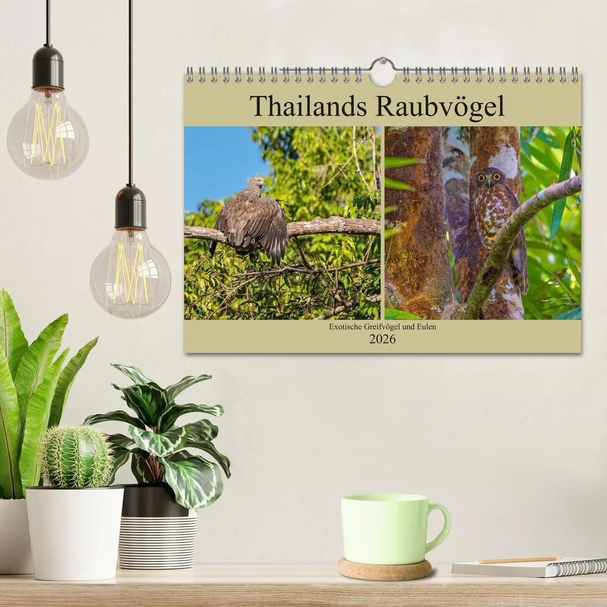 Bild: 9783457682029 | THAILANDS RAUBVÖGEL Exotische Greifvögel und Eulen (Wandkalender...