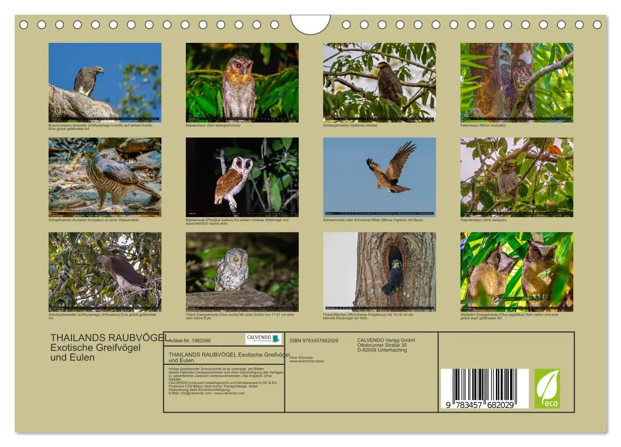 Bild: 9783457682029 | THAILANDS RAUBVÖGEL Exotische Greifvögel und Eulen (Wandkalender...