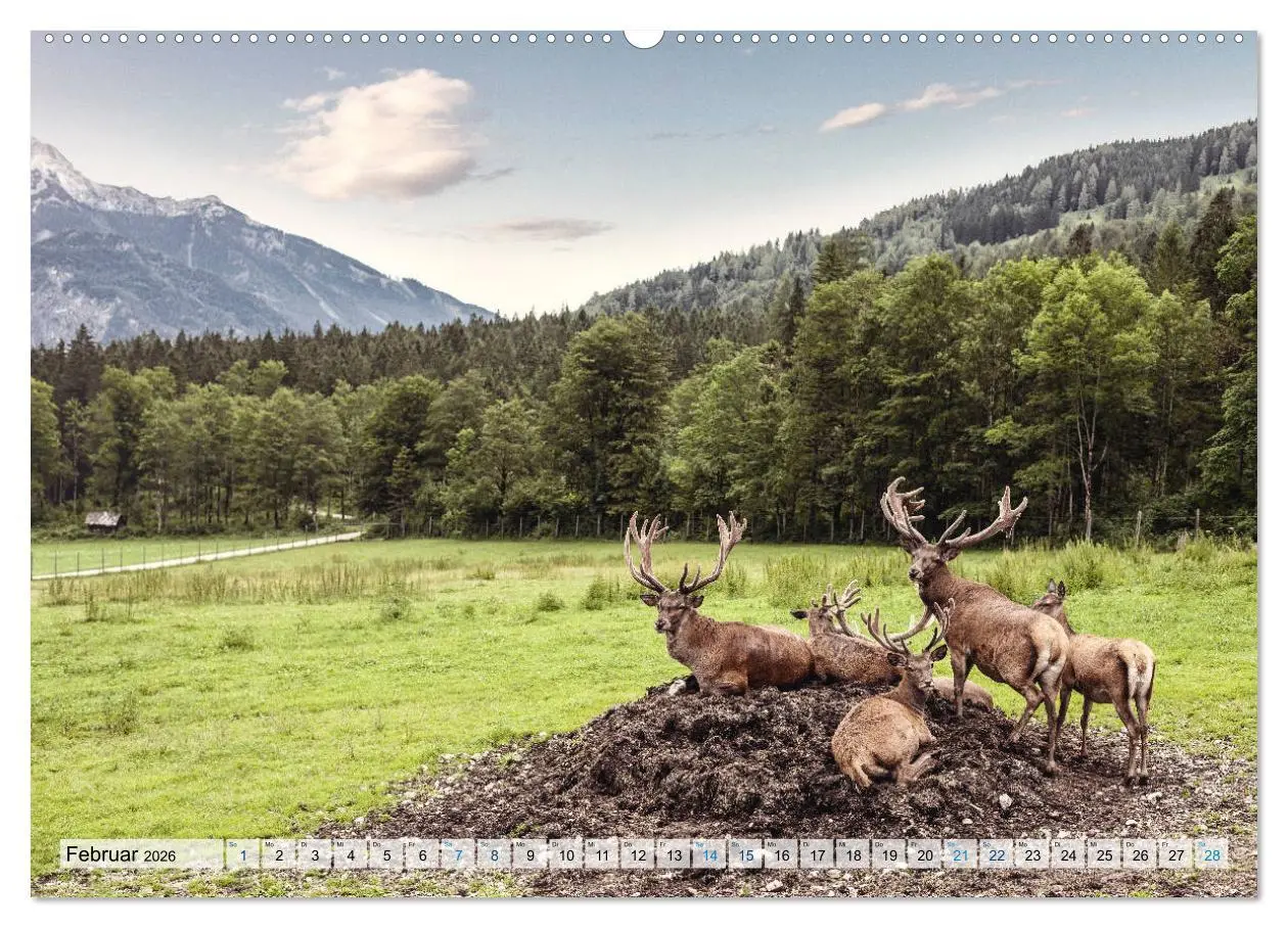 Bild: 9783457752029 | Österreich Berg und See (hochwertiger Premium Wandkalender 2026 DIN...