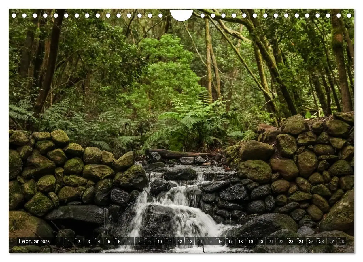 Bild: 9783516082029 | La Gomera 2026 - Eine Entdeckungsreise (Wandkalender 2026 DIN A4...