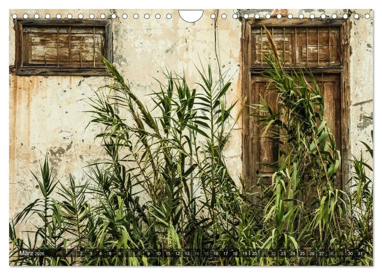 Bild: 9783516082029 | La Gomera 2026 - Eine Entdeckungsreise (Wandkalender 2026 DIN A4...