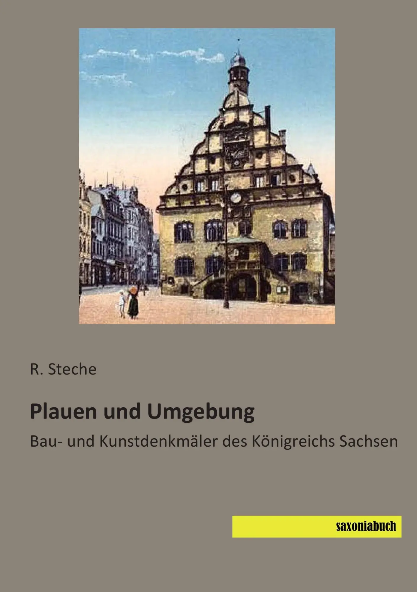 Cover: 9783957702029 | Plauen und Umgebung | Bau- und Kunstdenkmäler des Königreichs Sachsen