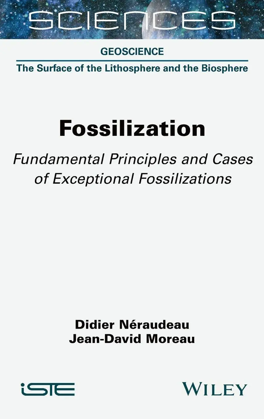 Cover: 9781789452129 | Fossilization | Didier N Raudeau | Buch | Einband - fest (Hardcover)