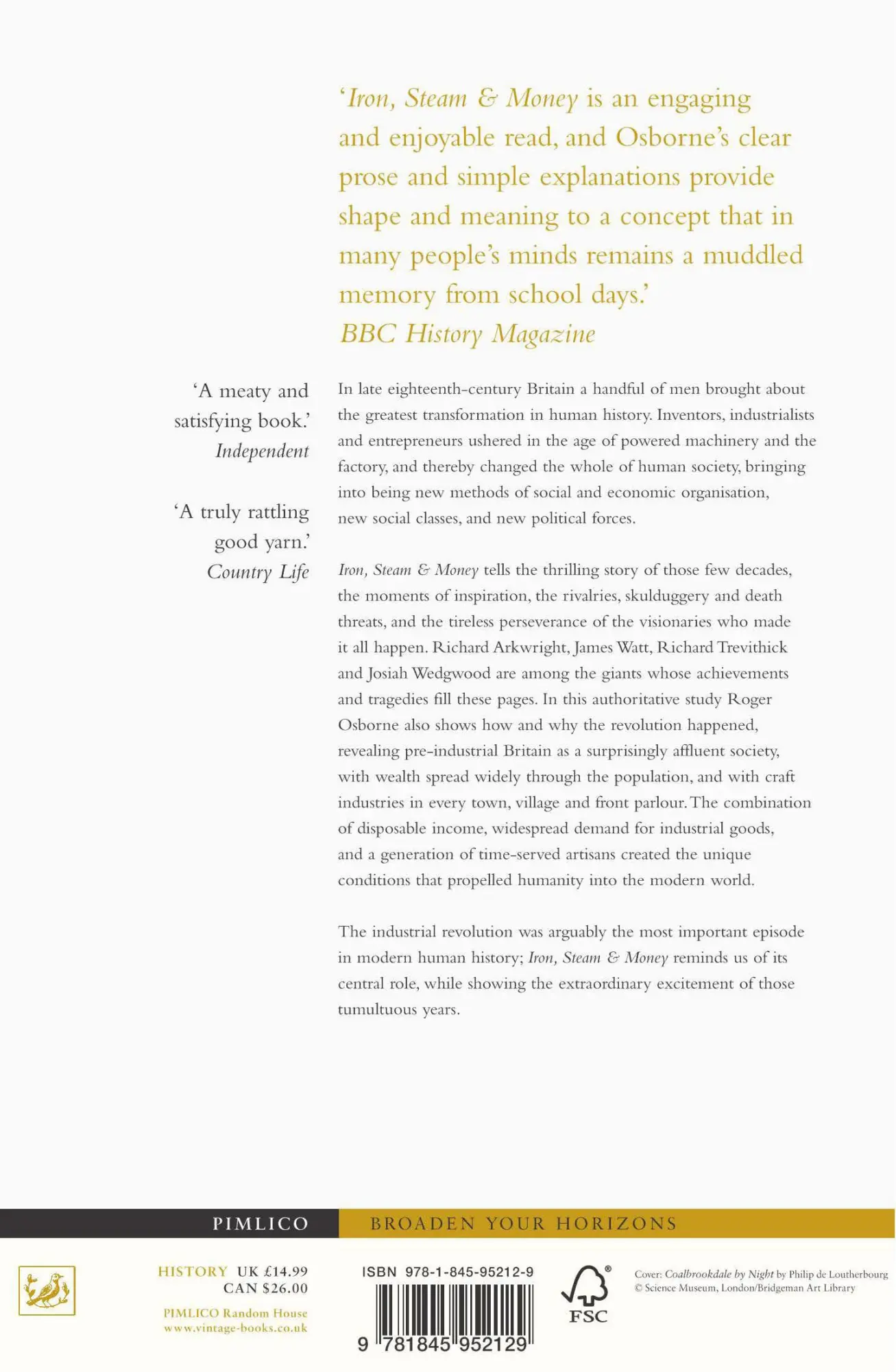 Rückseite: 9781845952129 | Iron, Steam &amp; Money | The Making of the Industrial Revolution | Buch
