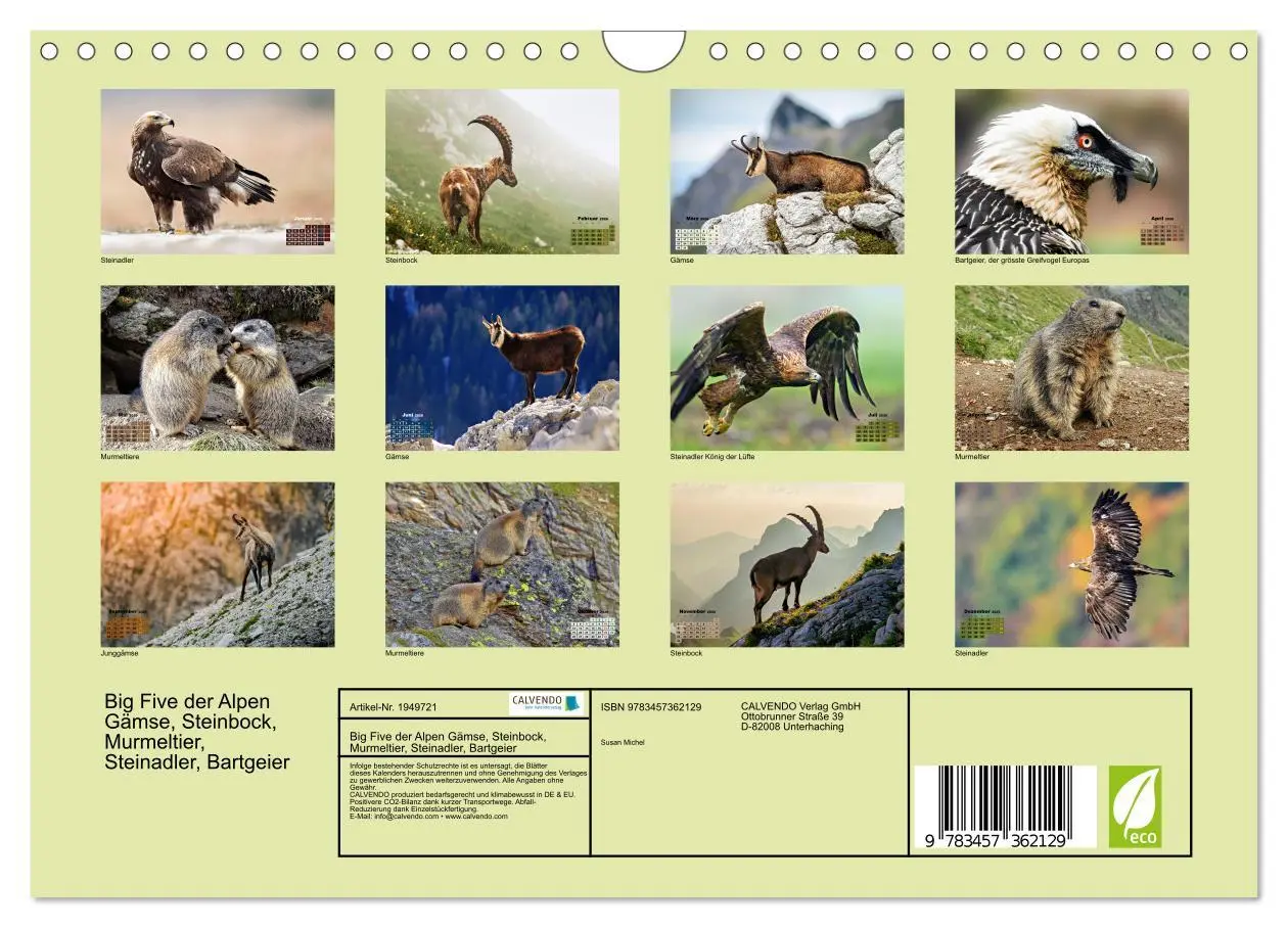Bild: 9783457362129 | Big Five der Alpen Gämse, Steinbock, Murmeltier, Steinadler,...