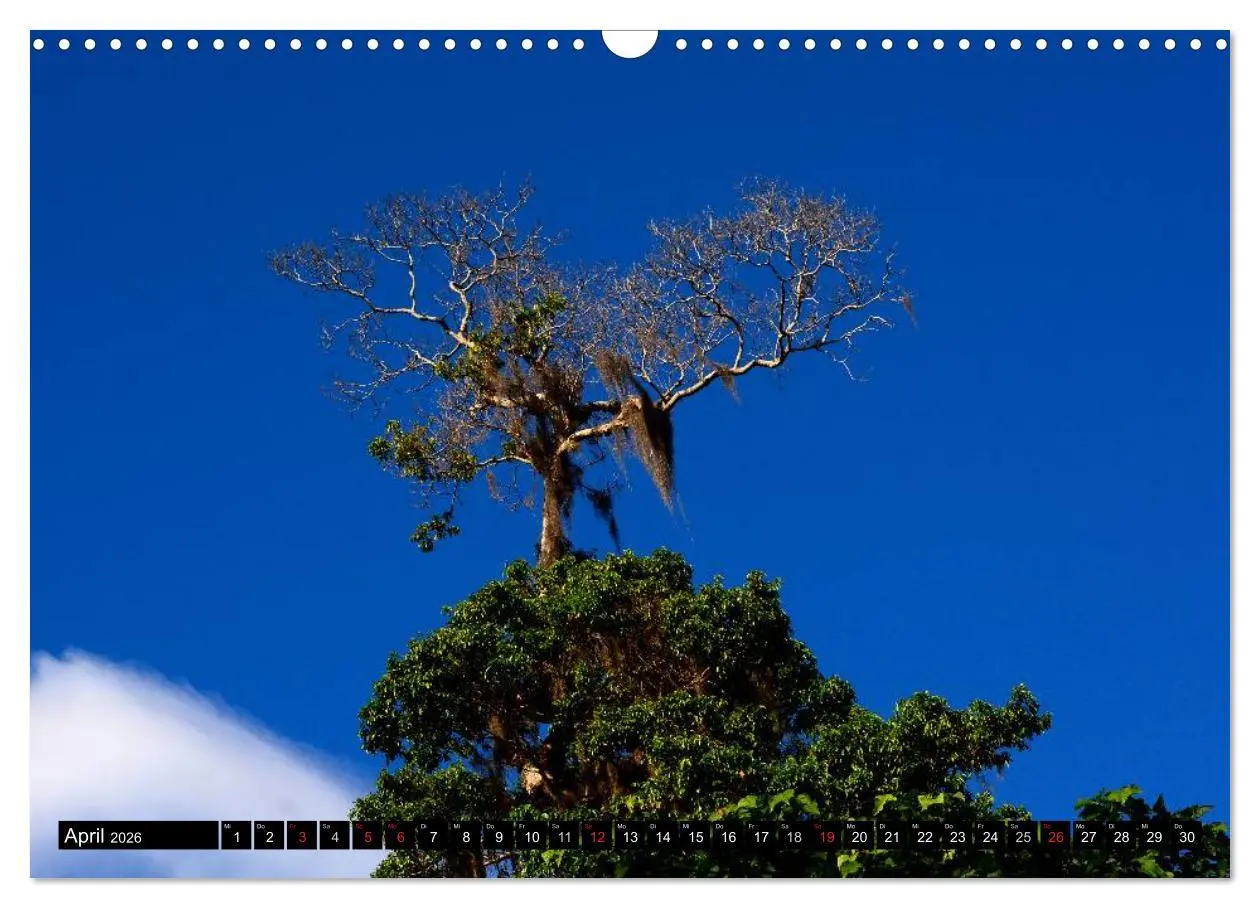 Bild: 9783457982129 | Faszination Venezuela (Wandkalender 2026 DIN A3 quer), CALVENDO...