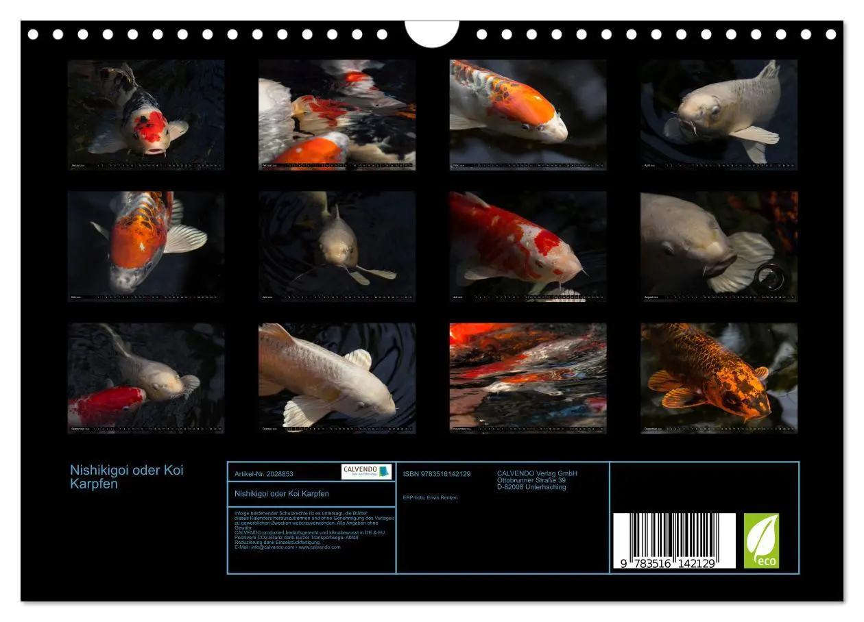 Bild: 9783516142129 | Nishikigoi oder Koi Karpfen (Wandkalender 2026 DIN A4 quer),...