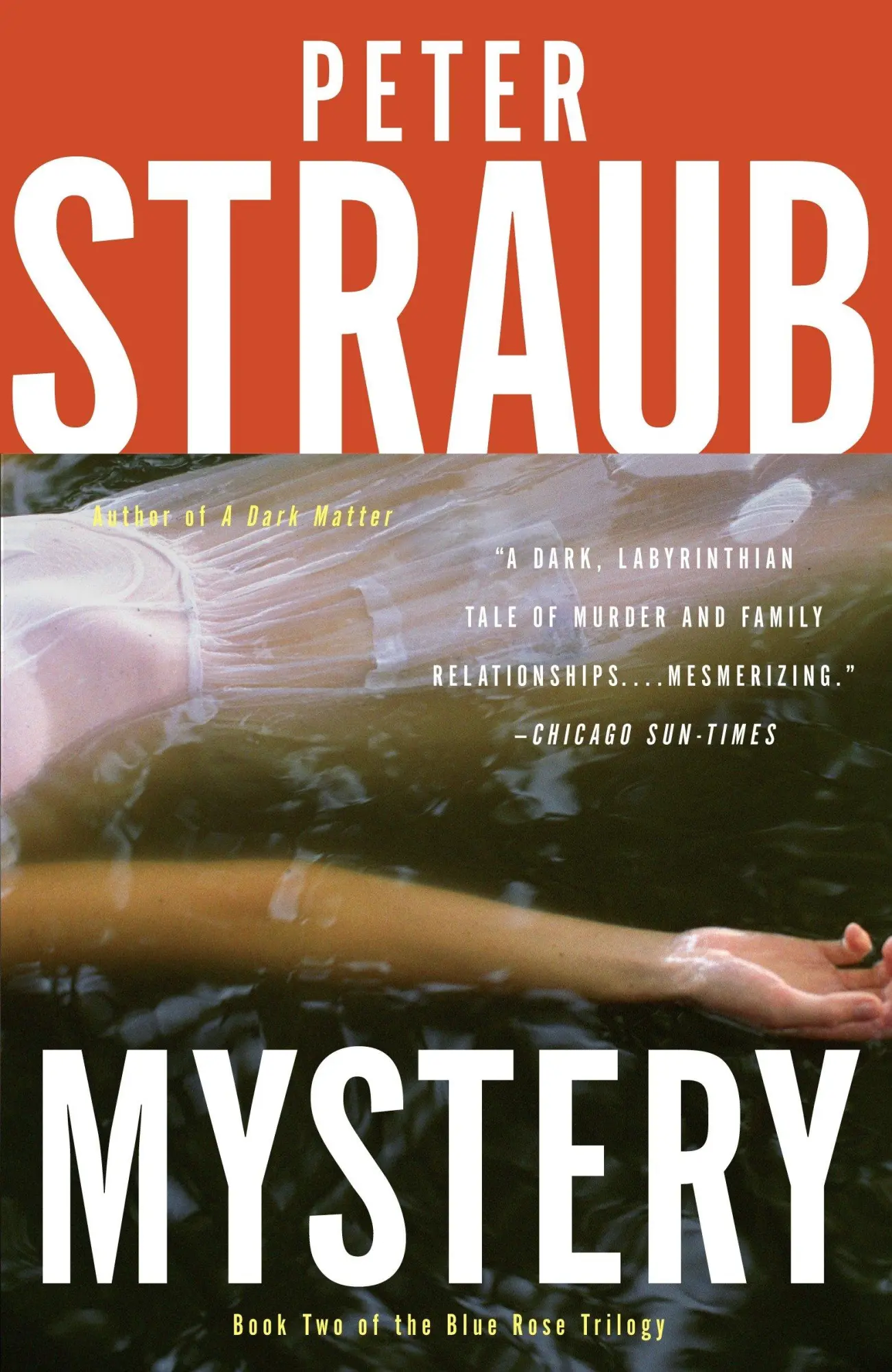 Cover: 9780307472229 | Mystery | Peter Straub | Taschenbuch | Einband - flex.(Paperback)