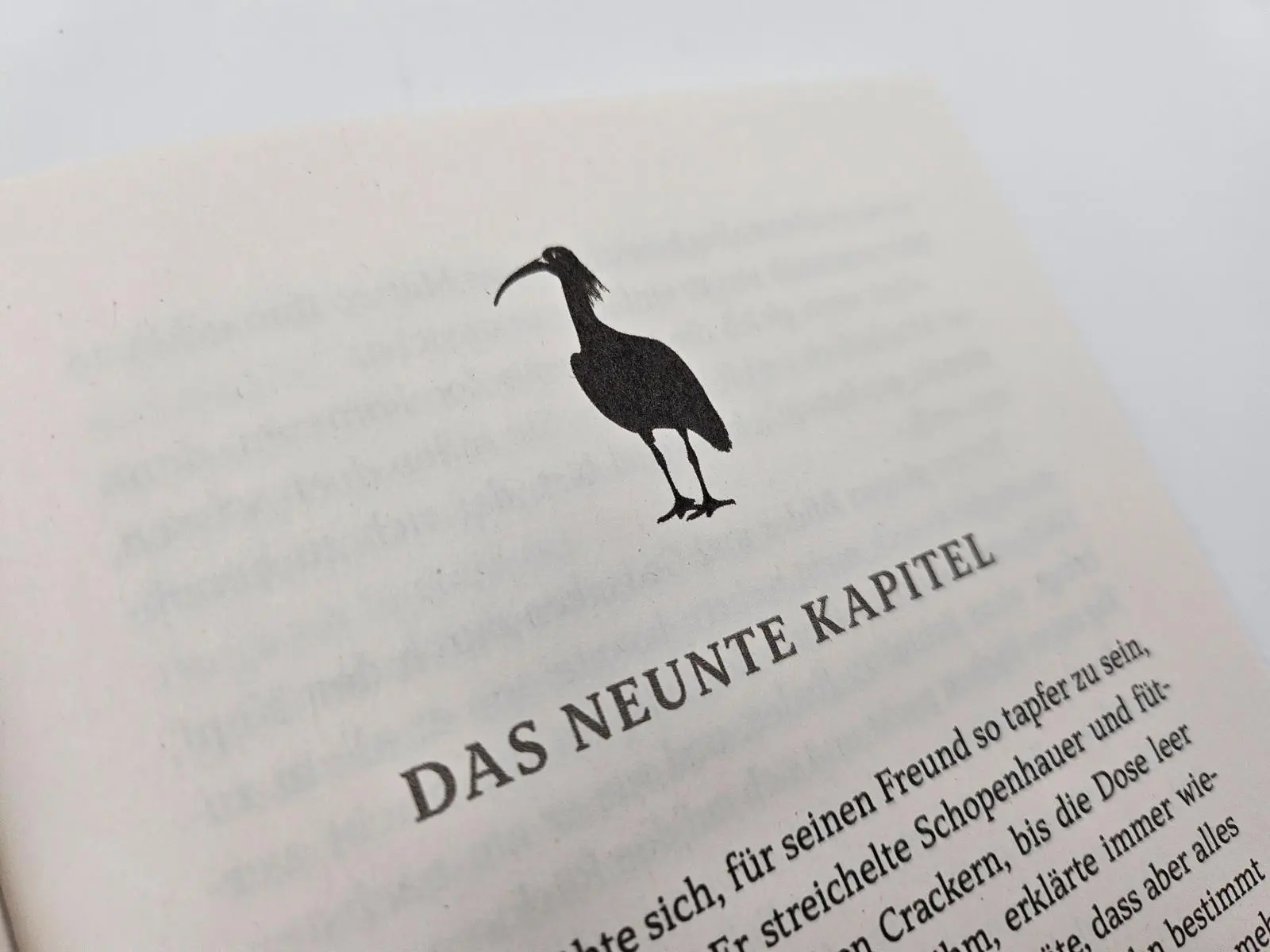 Bild: 9783492072229 | Ein Vogel namens Schopenhauer | Tom Diesbrock | Buch | 336 S. | 2024