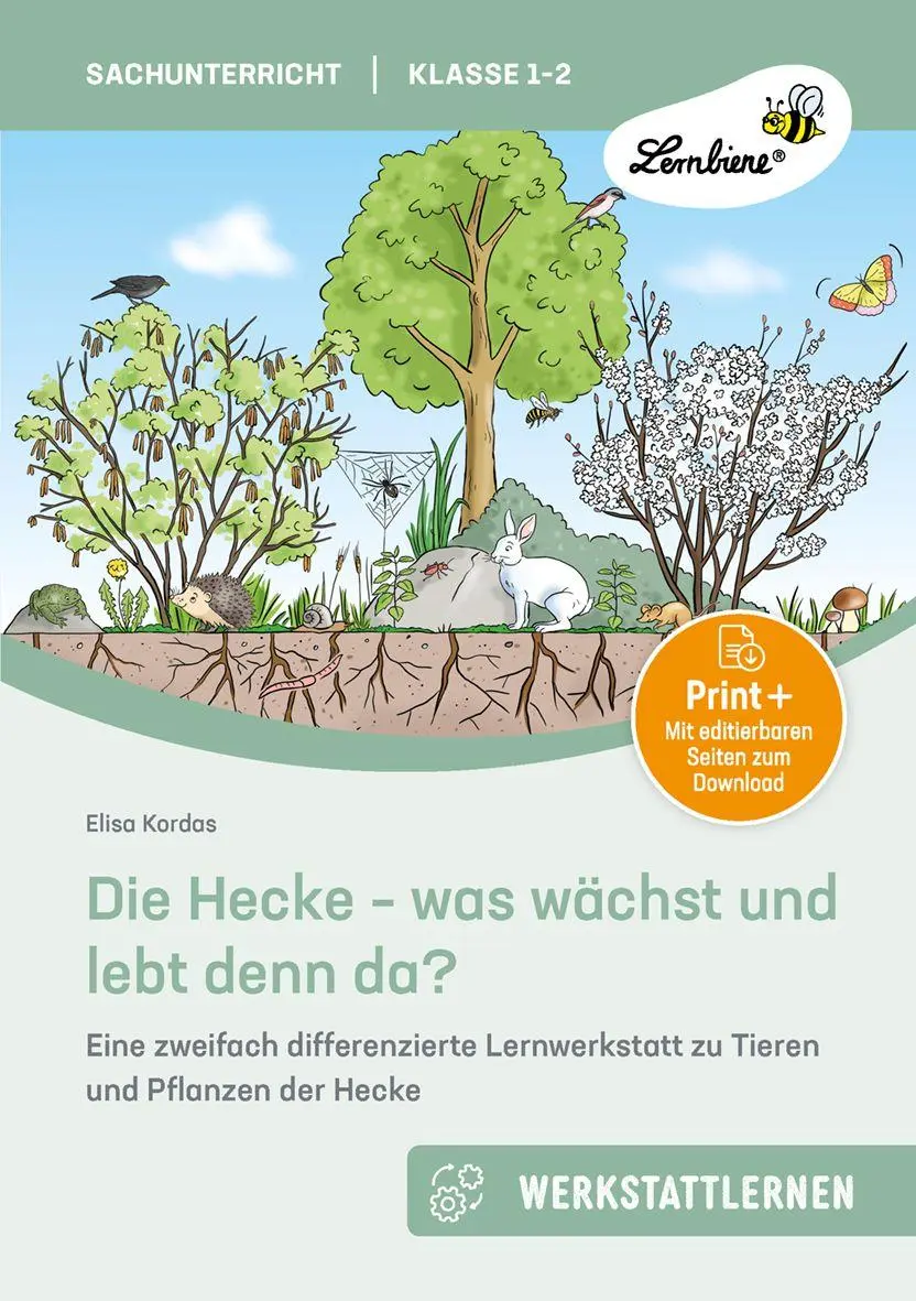 Cover: 9783746812229 | Die Hecke - was wächst und lebt denn da | Elisa Kordas | Bundle | 2025