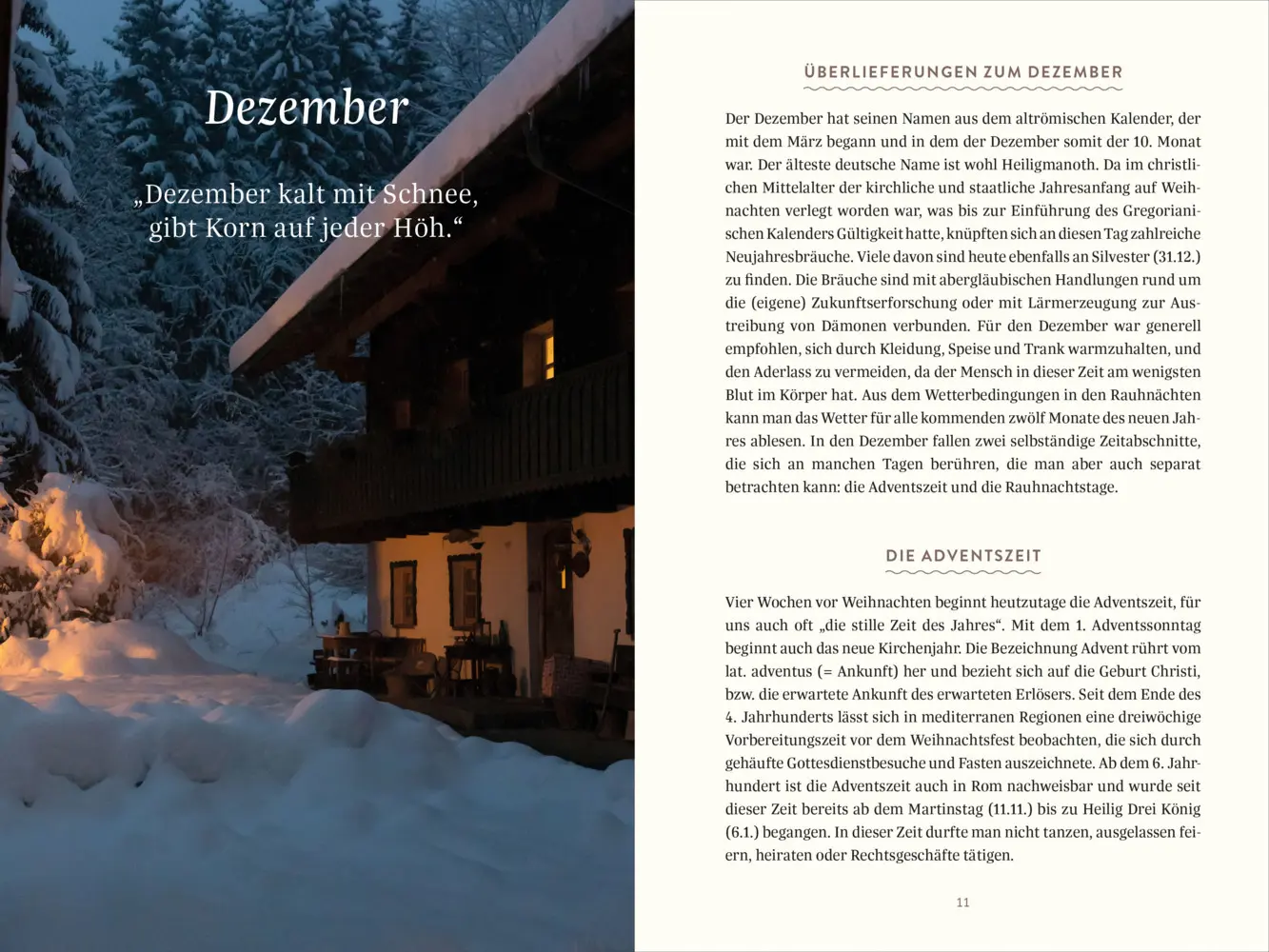 Bild: 9783961572229 | Mein Begleiter durch den Jahreskreis | Nadine Stegelmeier | Buch