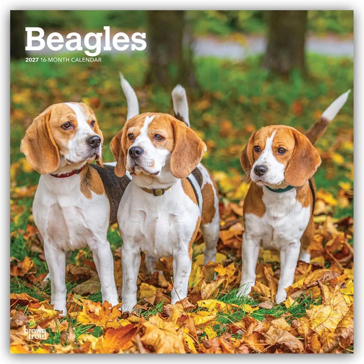 Cover: 9798330712229 | Beagles 2027 - 16-Monatskalender | Browntrout Publishers | Kalender