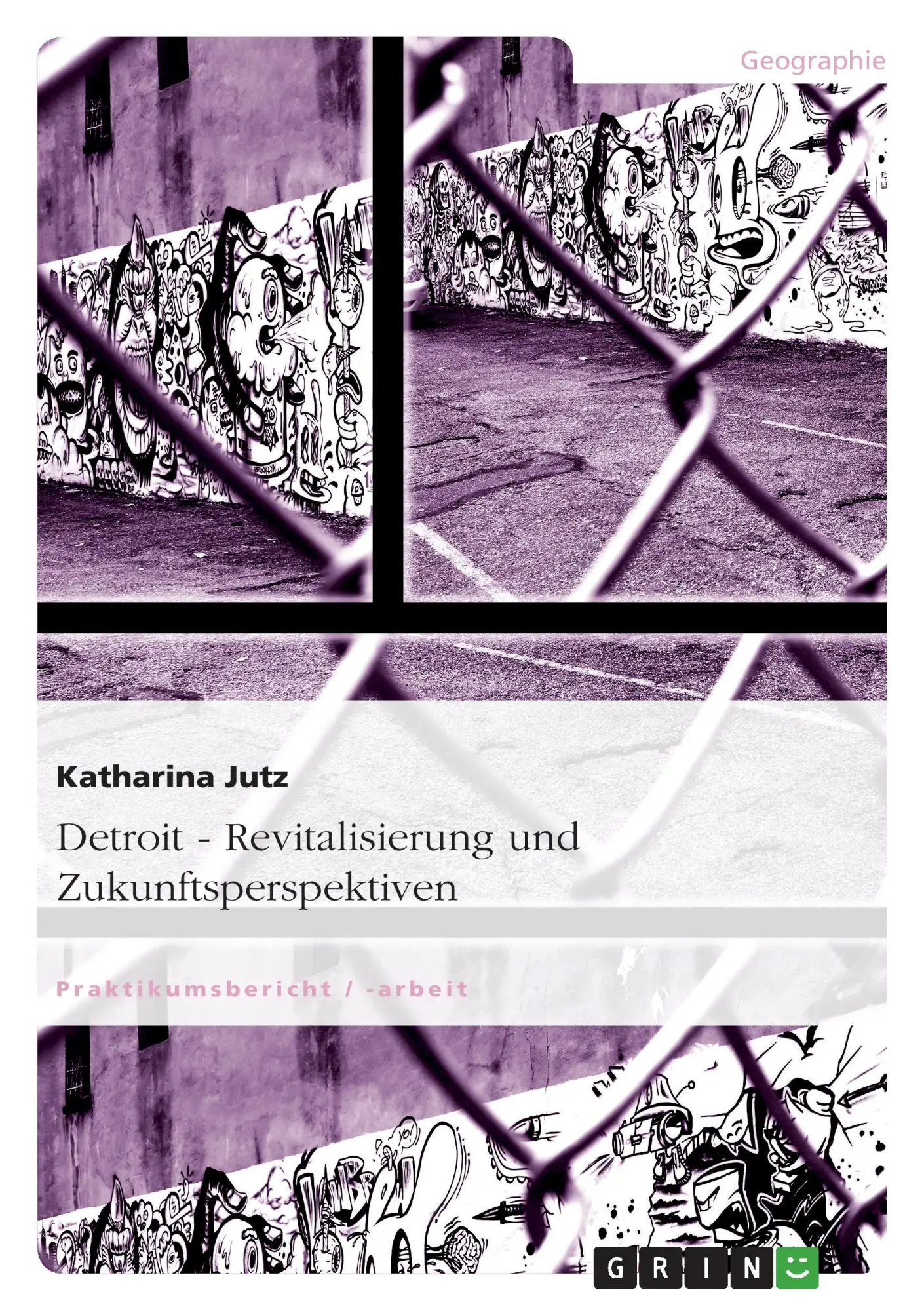 Cover: 9783656332329 | Detroit. Revitalisierung und Zukunftsperspektiven | Katharina Jutz