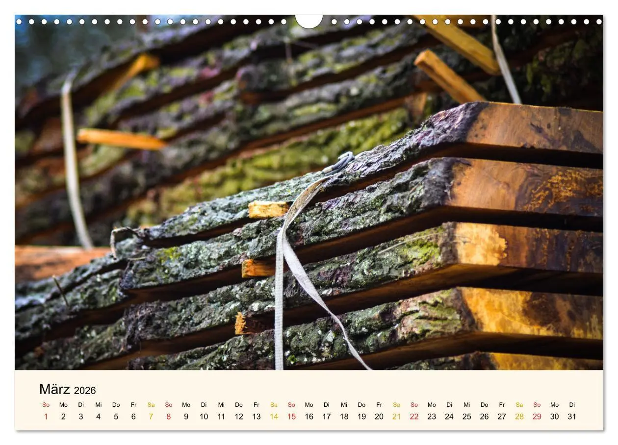Bild: 9783457632529 | Faszination Holz (Wandkalender 2026 DIN A3 quer), CALVENDO...