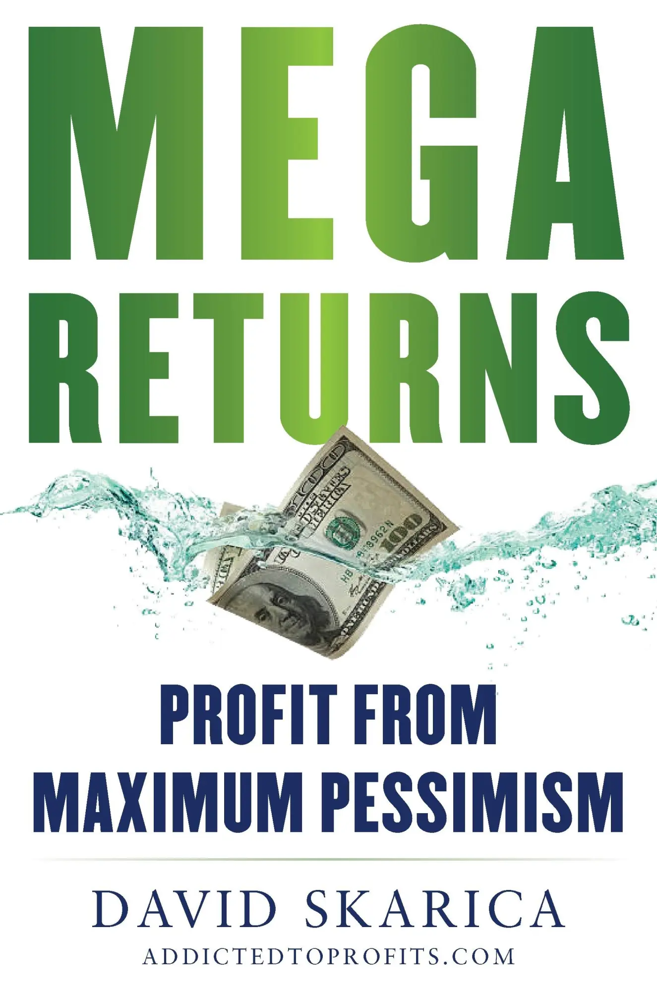 Cover: 9781630062729 | Mega Returns | Profit from Maximum Pessimism | David Skarica | Buch