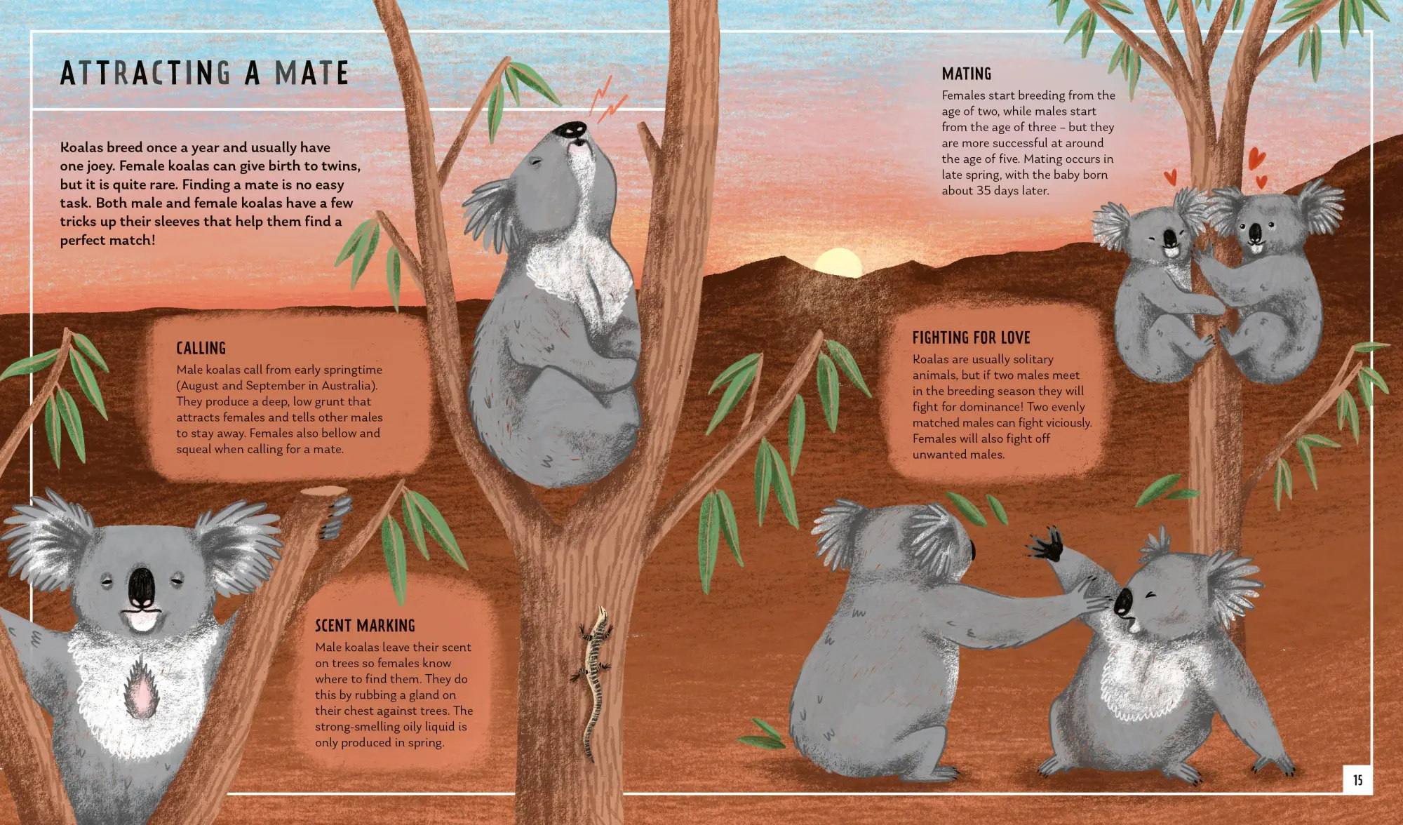 Bild: 9781838992729 | Koala (Young Zoologist) | Chris Daniels (u. a.) | Buch | Gebunden