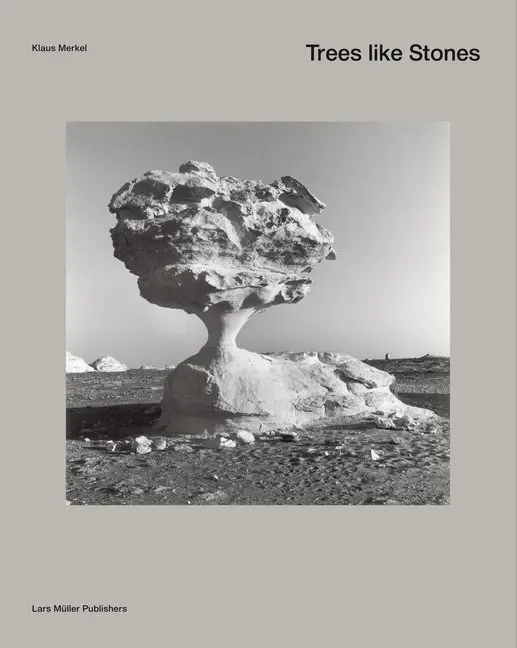Cover: 9783037782729 | Trees as well as Stones | Klaus Merkel | Buch | 120 S. | Englisch