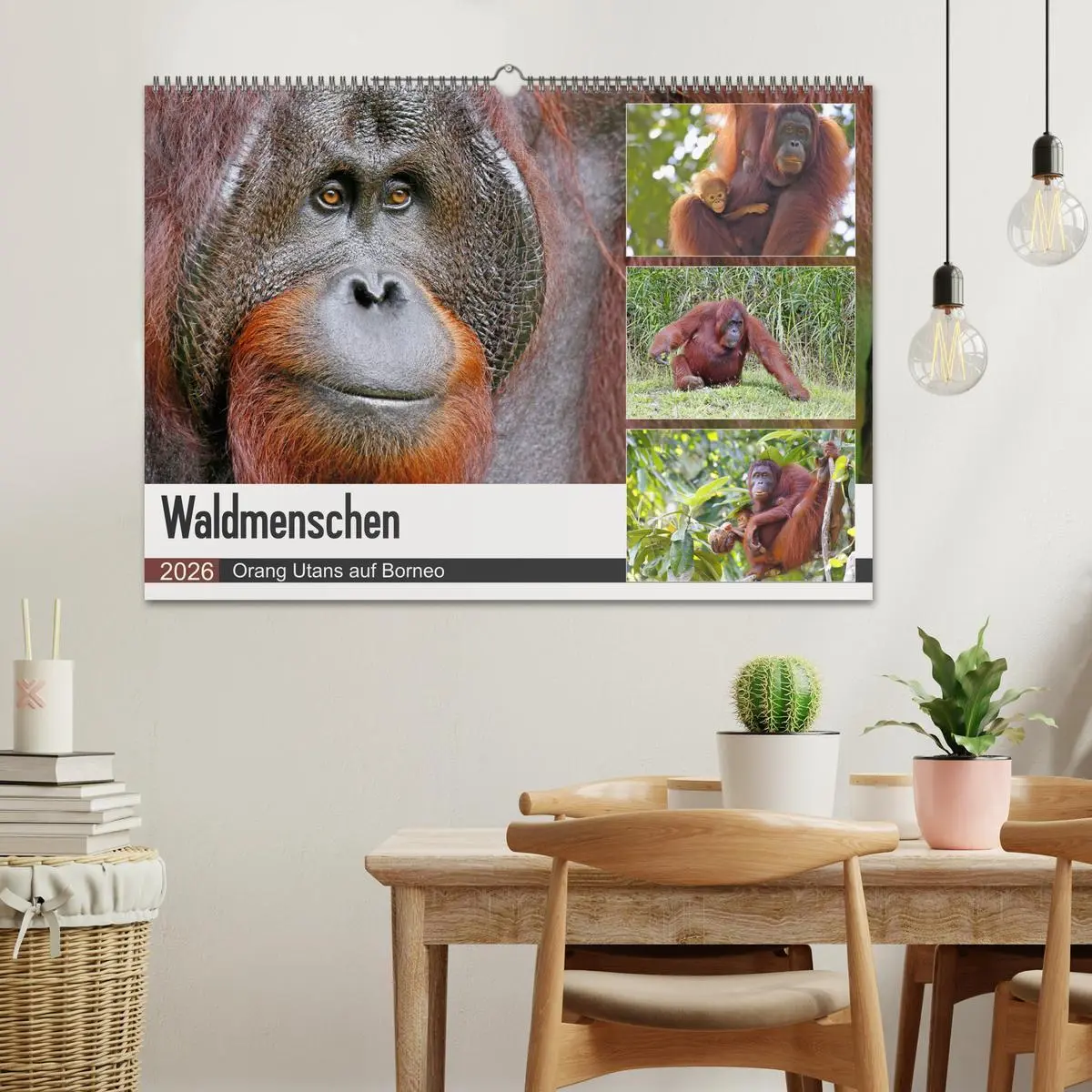 Bild: 9783457852729 | Waldmenschen - Orang Utans auf Borneo (Wandkalender 2026 DIN A2...