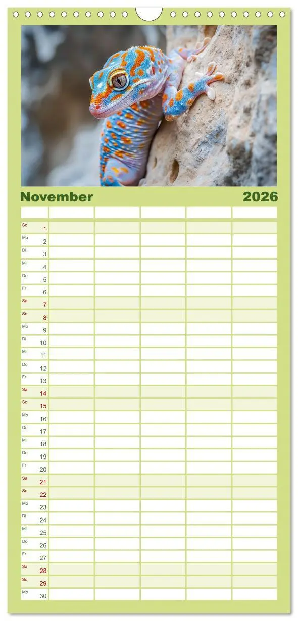Bild: 9783516492729 | Familienplaner 2026 - Kleine Echsen haben Spass mit 5 Spalten...