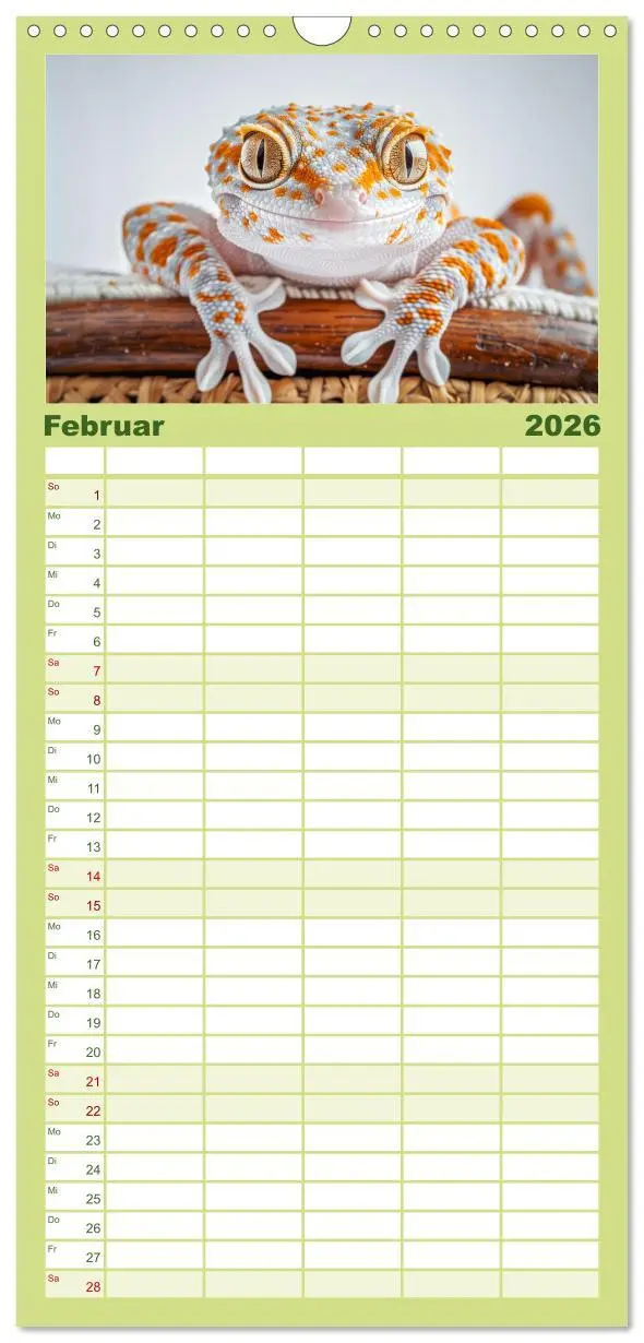Bild: 9783516492729 | Familienplaner 2026 - Kleine Echsen haben Spass mit 5 Spalten...