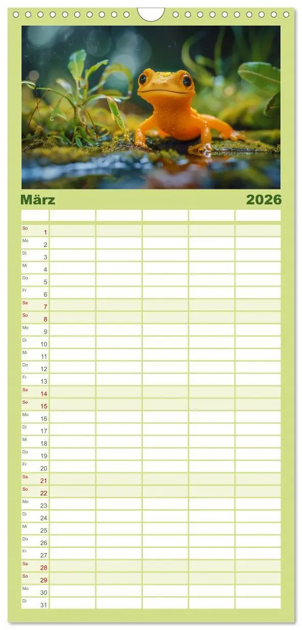 Bild: 9783516492729 | Familienplaner 2026 - Kleine Echsen haben Spass mit 5 Spalten...