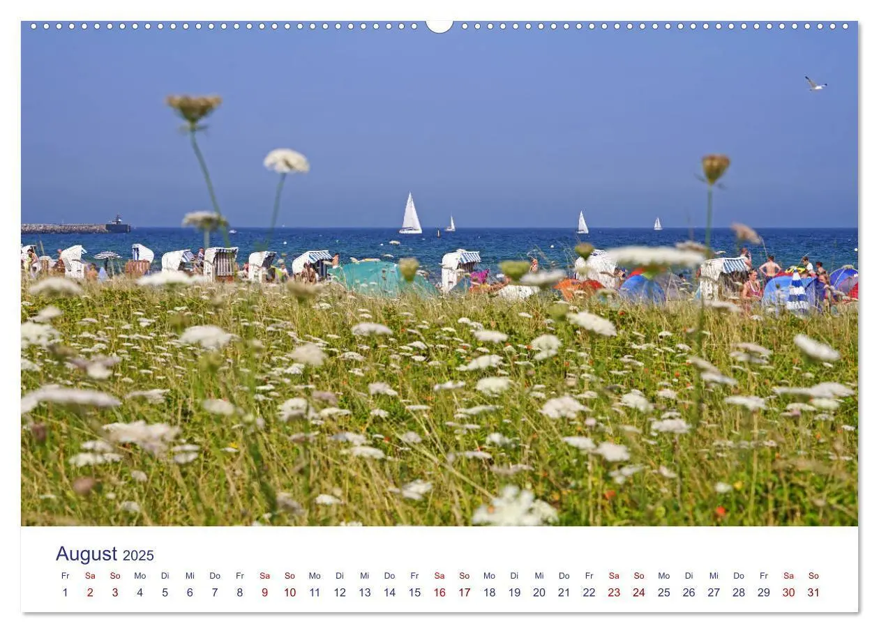 Bild: 9783435442829 | Radtouren ab Eckernförde (Wandkalender 2025 DIN A2 quer), CALVENDO...