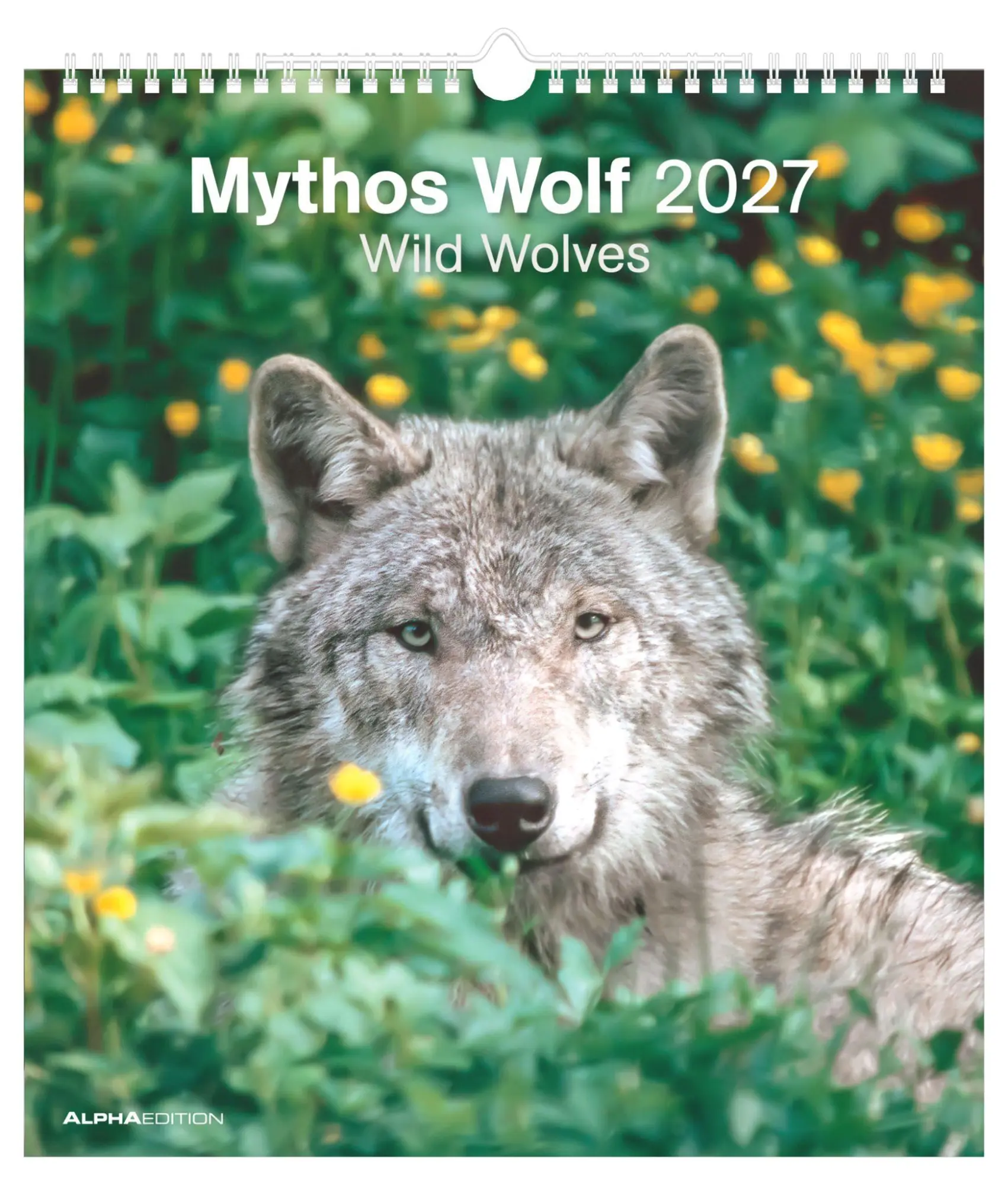 Cover: 4069095012929 | Mythos Wolf 2027 | Neumann Verlage GmbH &amp; Co KG | Kalender | 14 S.