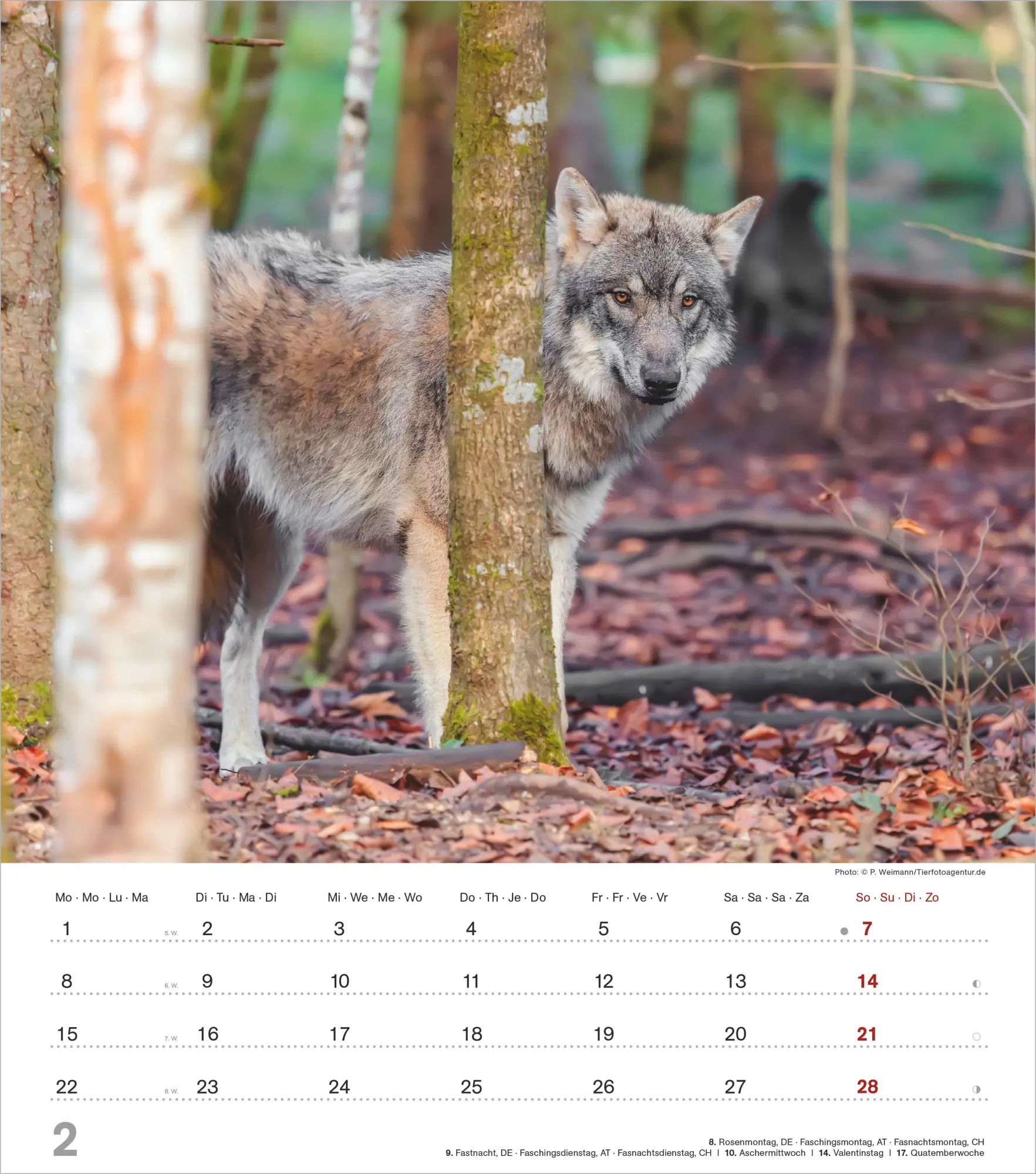 Bild: 4069095012929 | Mythos Wolf 2027 | Neumann Verlage GmbH &amp; Co KG | Kalender | 14 S.