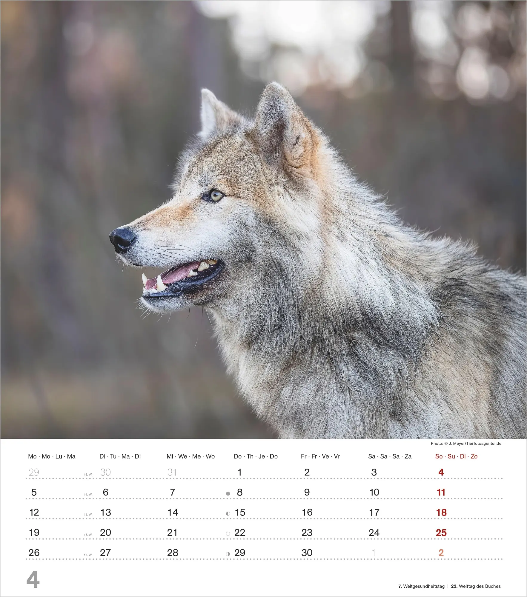 Bild: 4069095012929 | Mythos Wolf 2027 | Neumann Verlage GmbH &amp; Co KG | Kalender | 14 S.