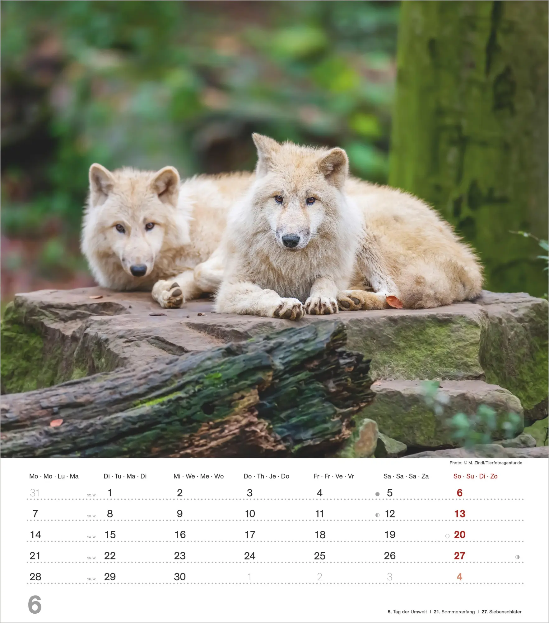 Bild: 4069095012929 | Mythos Wolf 2027 | Neumann Verlage GmbH &amp; Co KG | Kalender | 14 S.