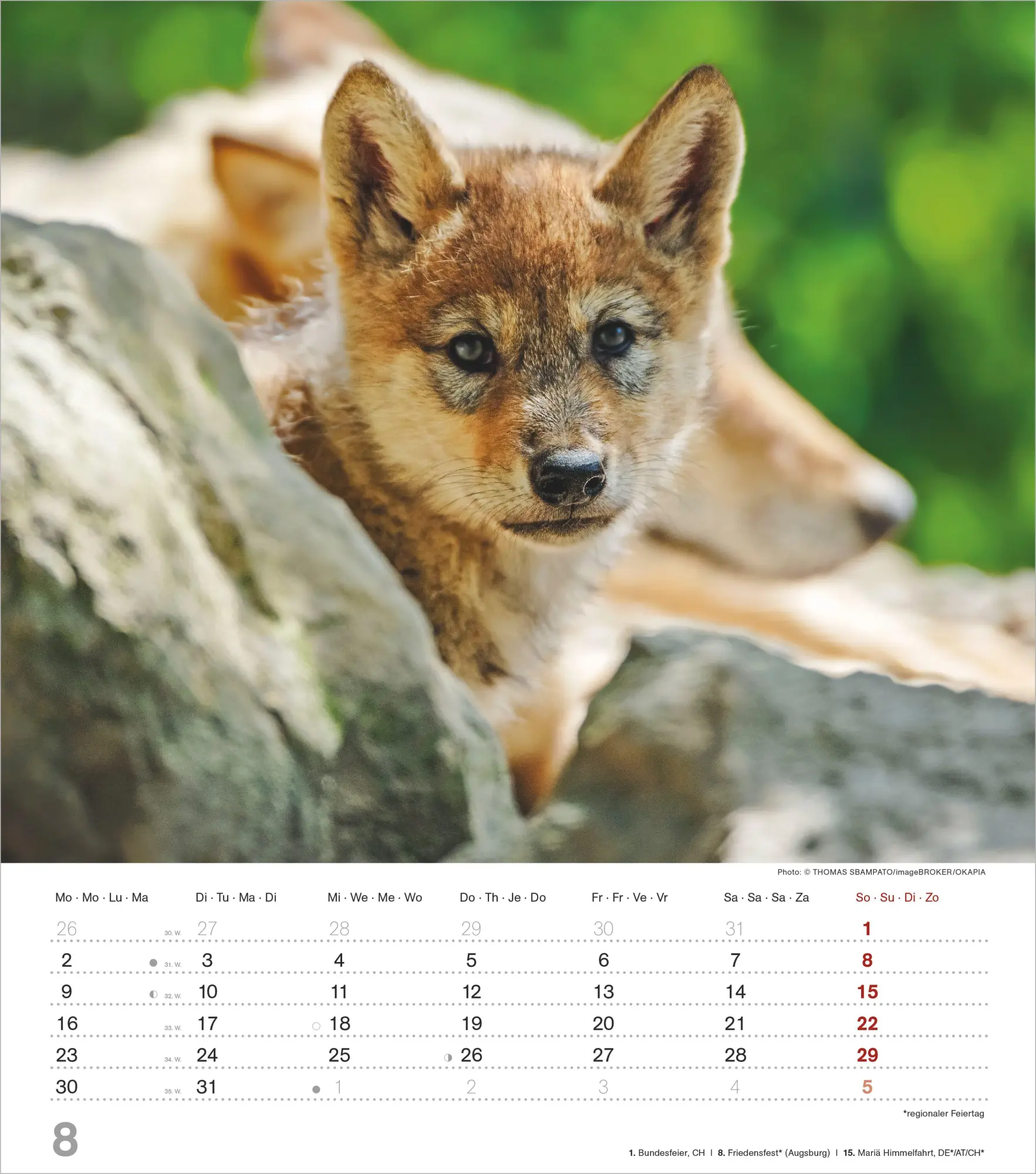 Bild: 4069095012929 | Mythos Wolf 2027 | Neumann Verlage GmbH &amp; Co KG | Kalender | 14 S.