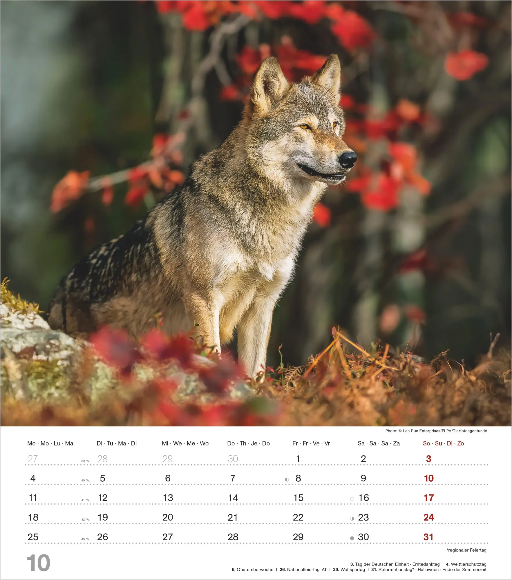 Bild: 4069095012929 | Mythos Wolf 2027 | Neumann Verlage GmbH &amp; Co KG | Kalender | 14 S.
