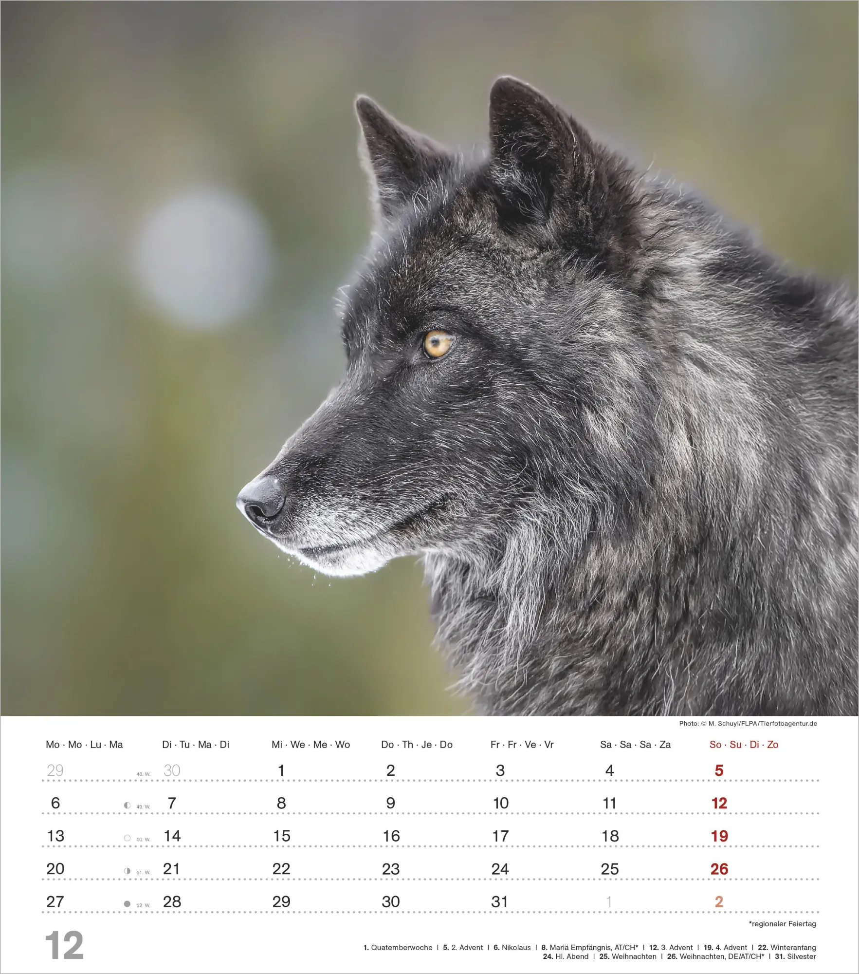 Bild: 4069095012929 | Mythos Wolf 2027 | Neumann Verlage GmbH &amp; Co KG | Kalender | 14 S.